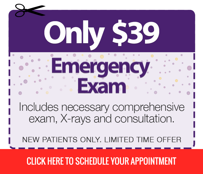 Emergency Exam $99